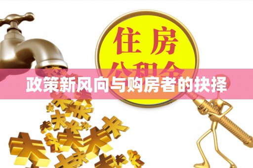 狮潭政策新风向与购房者的抉择