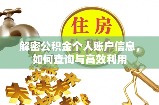 狮潭解密公积金个人账户信息，如何查询与高效利用