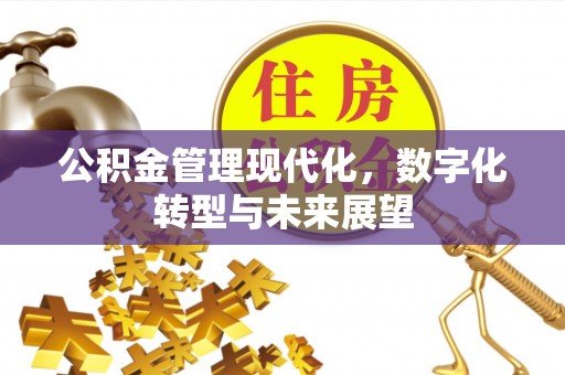 狮潭公积金管理现代化，数字化转型与未来展望