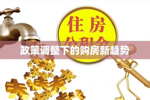 狮潭政策调整下的购房新趋势