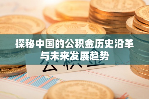 狮潭探秘中国的公积金历史沿革与未来发展趋势