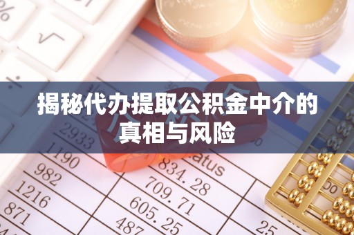 狮潭揭秘代办提取公积金中介的真相与风险
