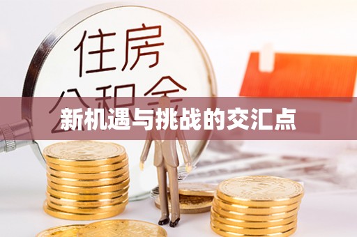 狮潭新机遇与挑战的交汇点