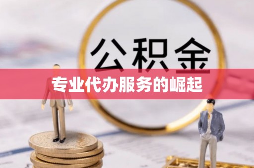 狮潭专业代办服务的崛起