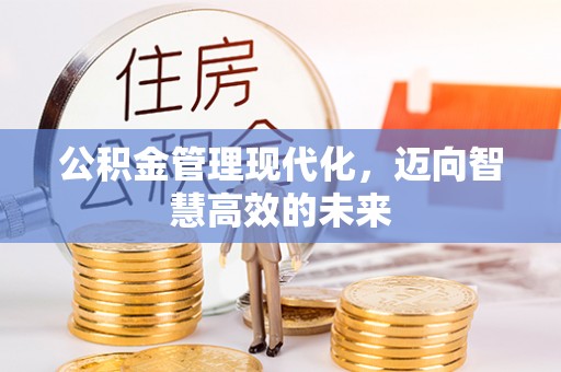 狮潭公积金管理现代化，迈向智慧高效的未来
