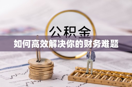 狮潭如何高效解决你的财务难题