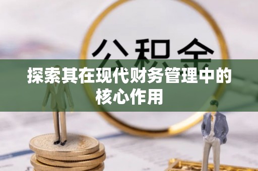 狮潭探索其在现代财务管理中的核心作用