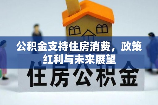 狮潭公积金支持住房消费，政策红利与未来展望