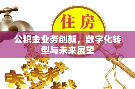 狮潭公积金业务创新，数字化转型与未来展望