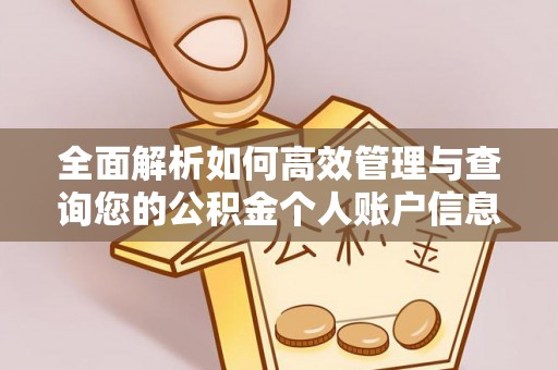 狮潭全面解析如何高效管理与查询您的公积金个人账户信息
