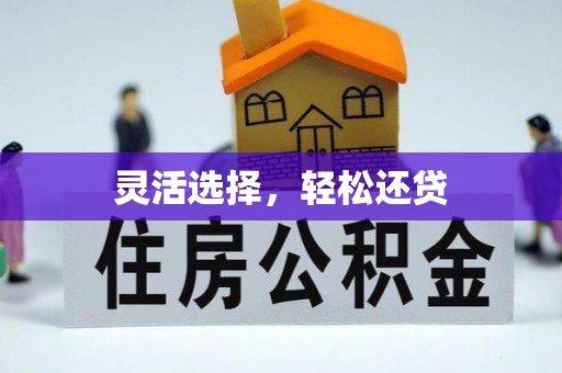 狮潭灵活选择，轻松还贷