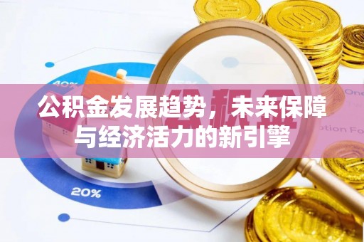 狮潭公积金发展趋势，未来保障与经济活力的新引擎