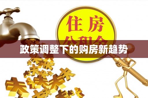 狮潭政策调整下的购房新趋势
