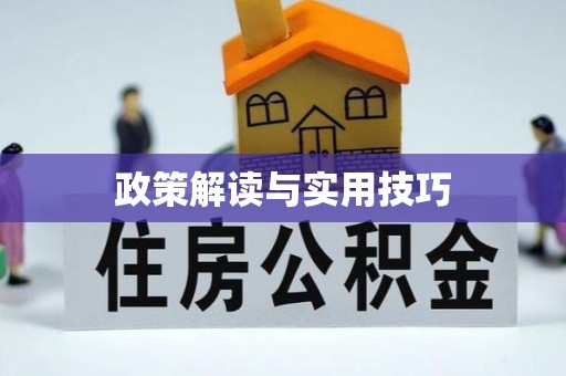 狮潭政策解读与实用技巧