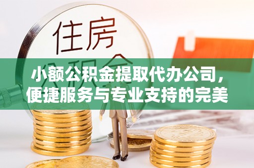 狮潭小额公积金提取代办公司，便捷服务与专业支持的完美结合