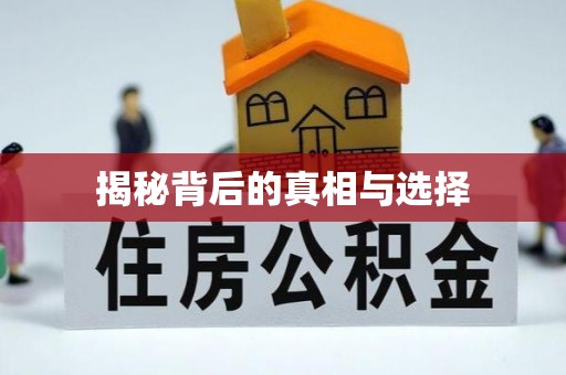 狮潭揭秘背后的真相与选择