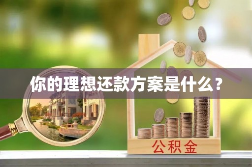狮潭你的理想还款方案是什么？