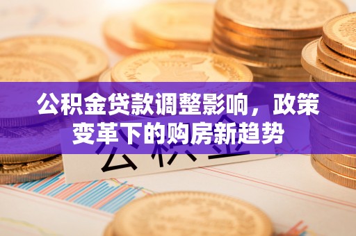 狮潭公积金贷款调整影响，政策变革下的购房新趋势