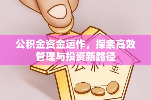 狮潭公积金资金运作，探索高效管理与投资新路径