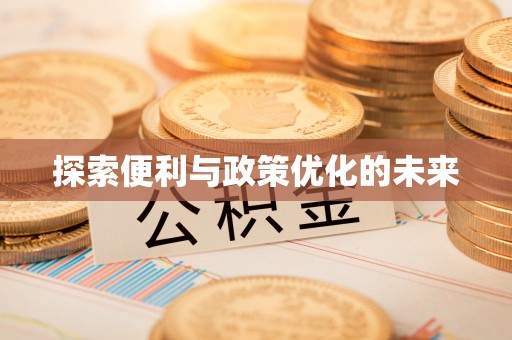 狮潭探索便利与政策优化的未来