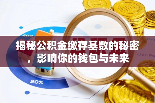 狮潭揭秘公积金缴存基数的秘密，影响你的钱包与未来