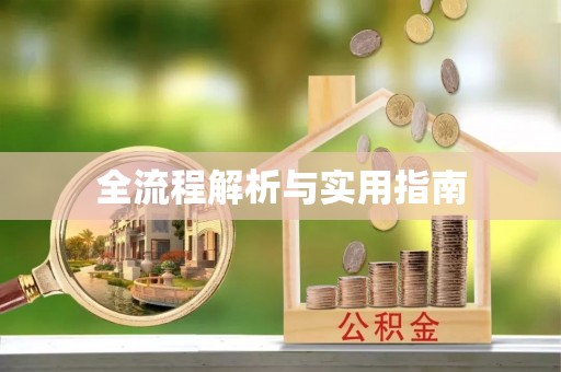 狮潭全流程解析与实用指南