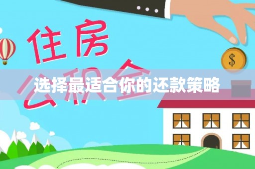 狮潭选择最适合你的还款策略