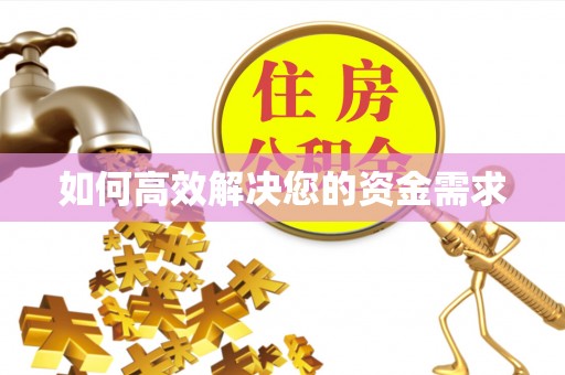 狮潭如何高效解决您的资金需求